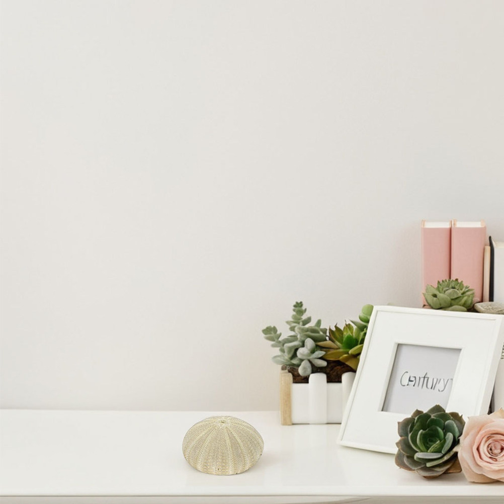 Home Decor Vase - 18Pcs 성게 껍질 꽃병 필러 천연