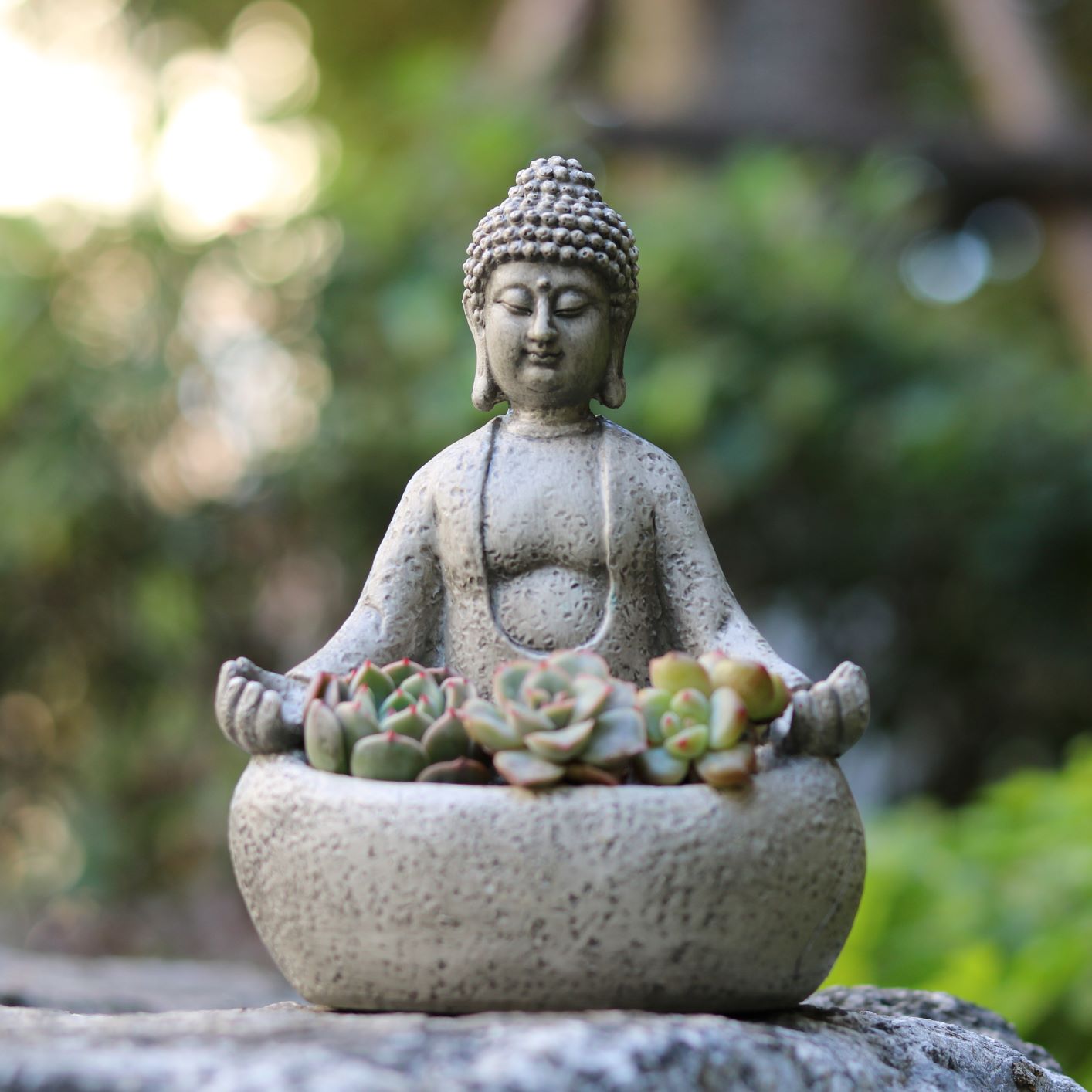 Succulent Planter Pot - 명상하는 불상 다육식물 화분, 실내 데스크탑