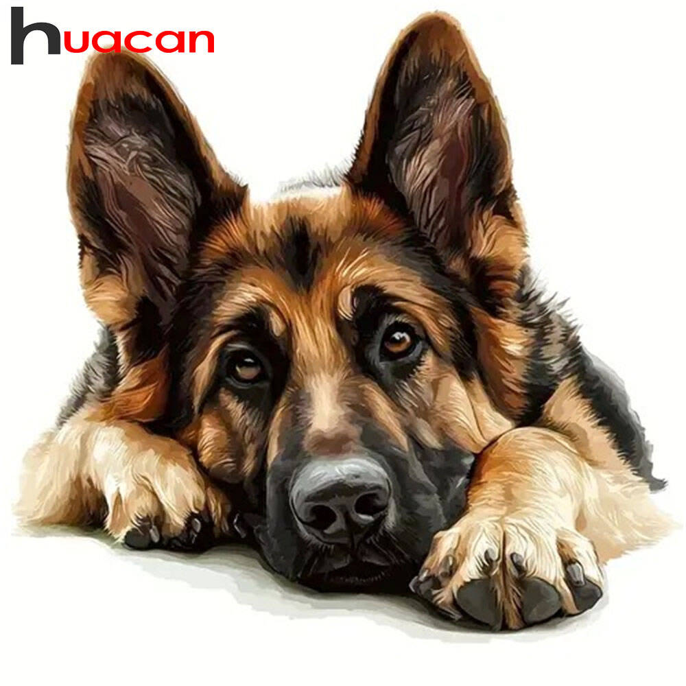 Germany Home Decor - Huacan 2025 다이아몬드 그림, 돌고래 하늘
