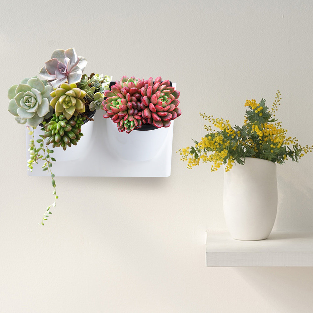 자가 급수 화분 플라스틱 바이올렛 화분 장식용 실내외  - Succulent Planter Pot 리뷰 및 가격