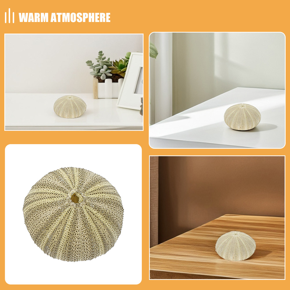 18Pcs 성게 껍질 꽃병 필러 천연 홈 장식 공예 재 - Home Decor Vase 리뷰 및 가격