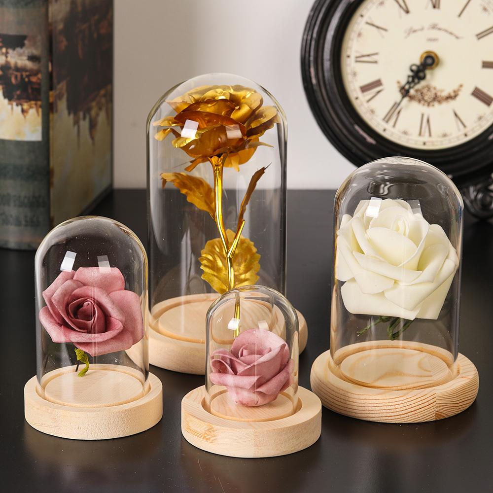 홈데코 식물 항아리 테라리움 유리 화병 먼지 덮개 나무 - Home Decor Vase 리뷰 및 가격