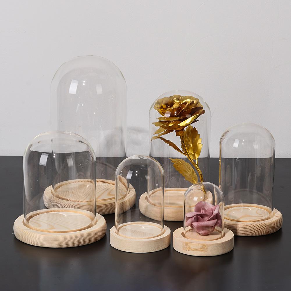 홈데코 식물 항아리 테라리움 유리 화병 먼지 덮개 나무 - Home Decor Vase 리뷰 및 가격