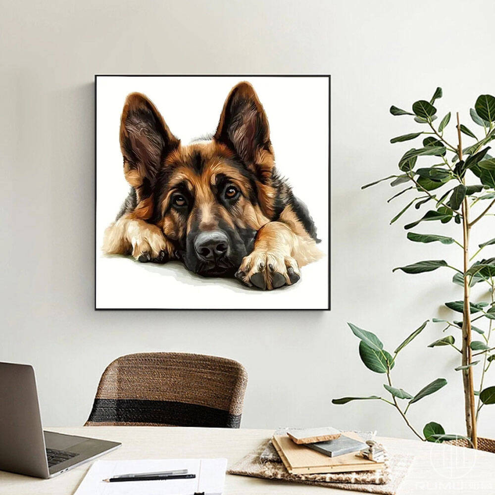 Huacan 2025 다이아몬드 그림, 돌고래 하늘 다 - Germany Home Decor 리뷰 및 가격